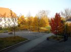 herbstimpressionen 08